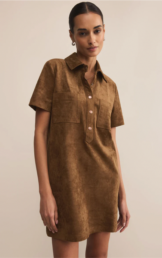 Kellie Faux Suede Mini Dress