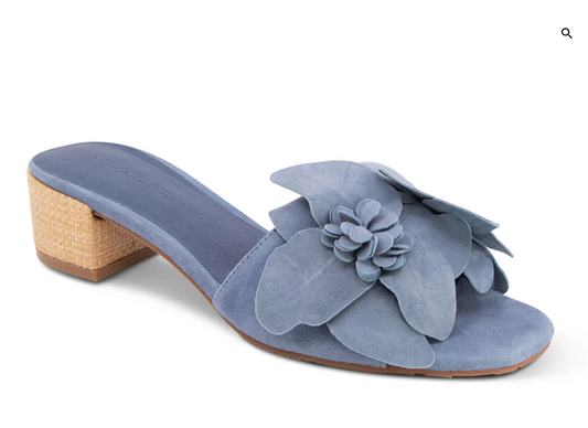 Baja Blue Suede Shoe